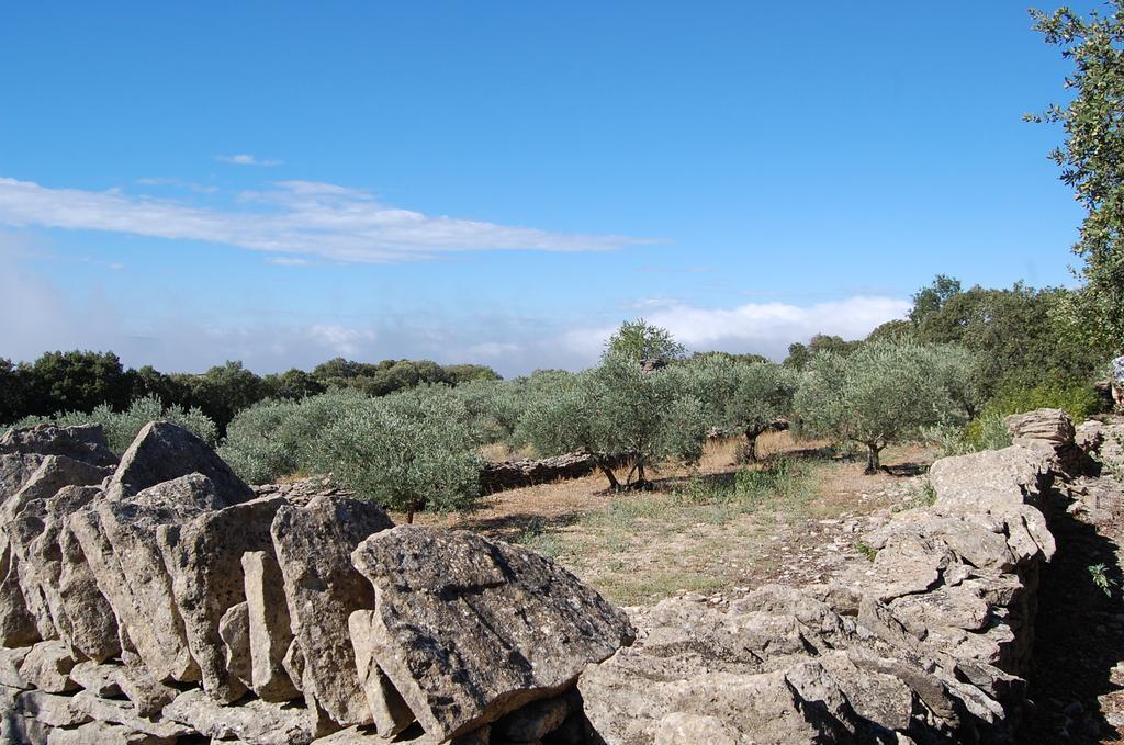 Cypres Du Paradis A Gordes Ngoại thất bức ảnh