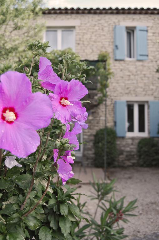 Cypres Du Paradis A Gordes Ngoại thất bức ảnh